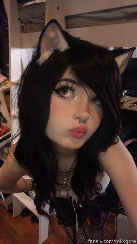 I think I’m gonna do a HD shoot with this look later today 💗🐱 