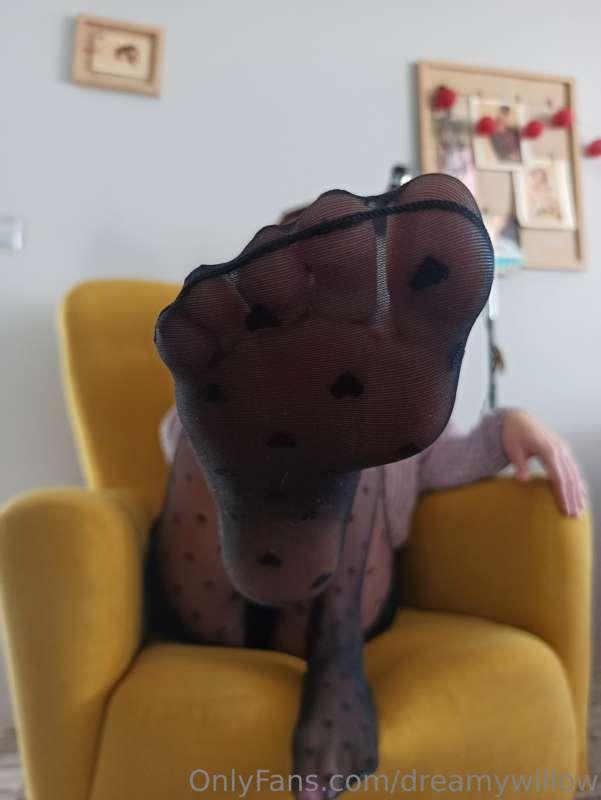 dreamywillow image #1