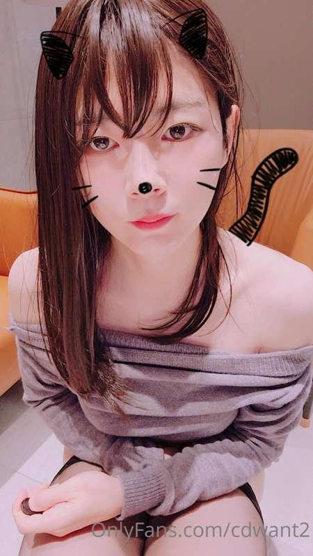 cdwant2 image #17
