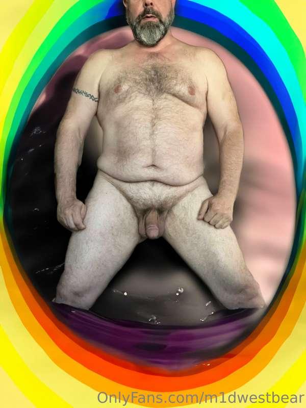 m1dwestbear image #4