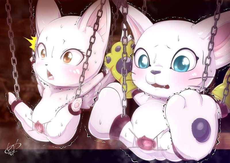 Charle and Gatomon