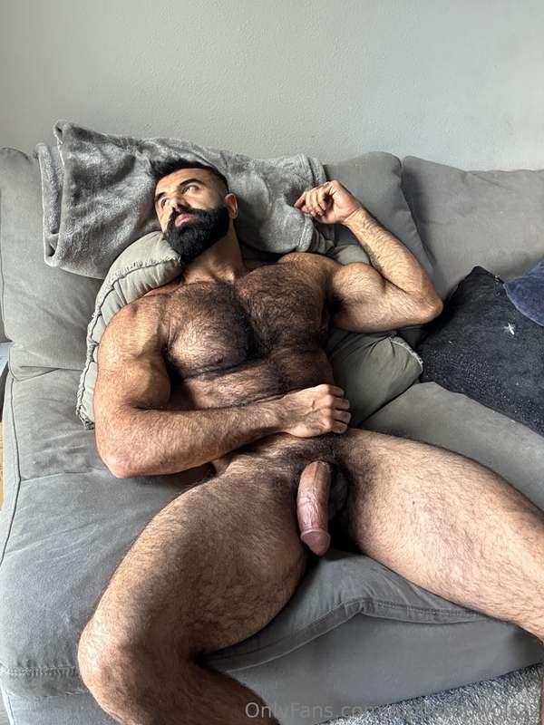 alphatopwolf22 image #2