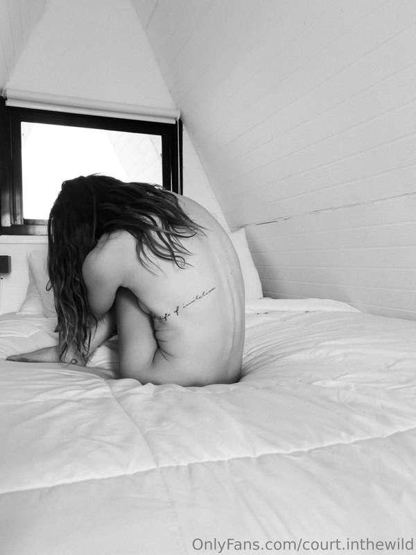 court.inthewild image #1