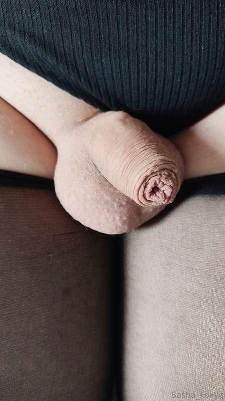sasha_foxyq image #0