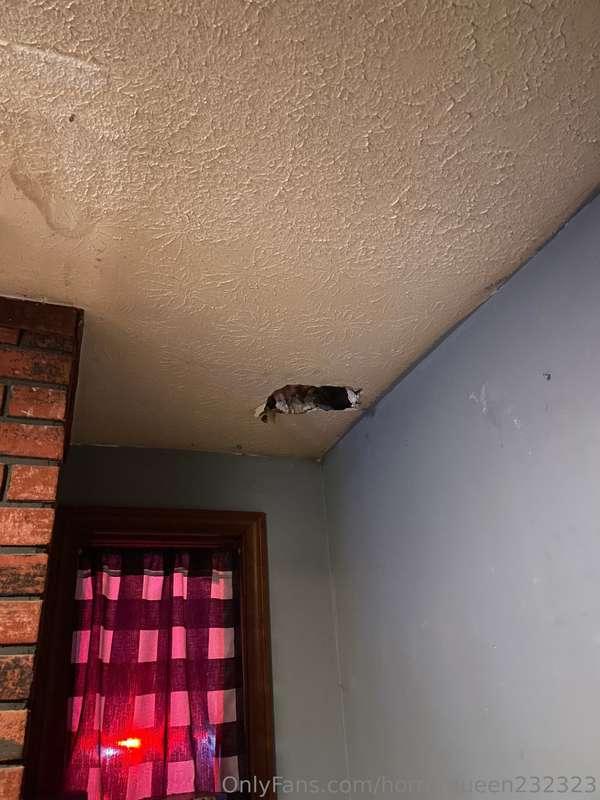 horrorqueen232323 image #1