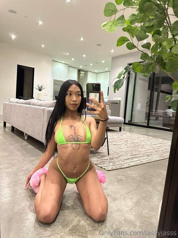 did you miss me?