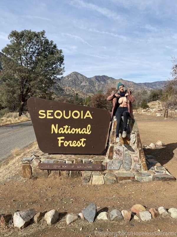 Drove 5+ hours to visit some sequoias, only to discover the ..