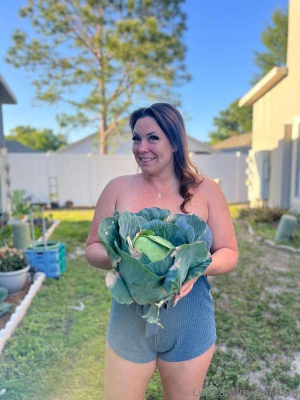 Always gotta give you a garden update! Had to harvest some o..