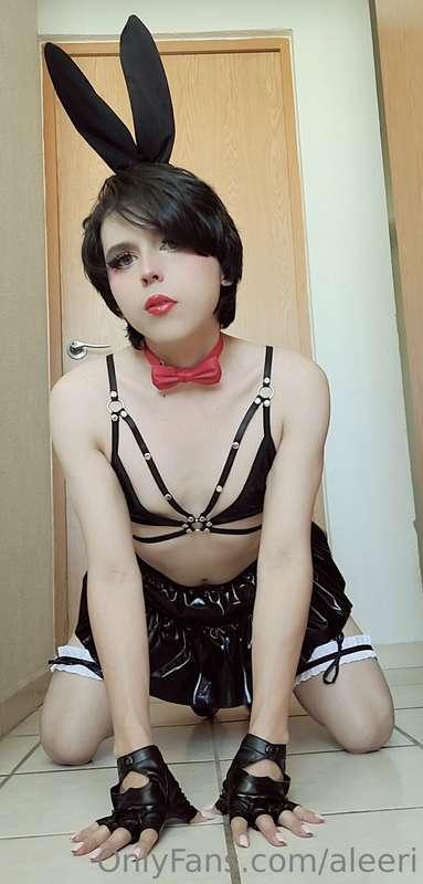 aleeri image #3