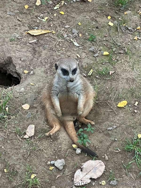 Me sitting hoping someone’s going to buy the nail stuff at t..