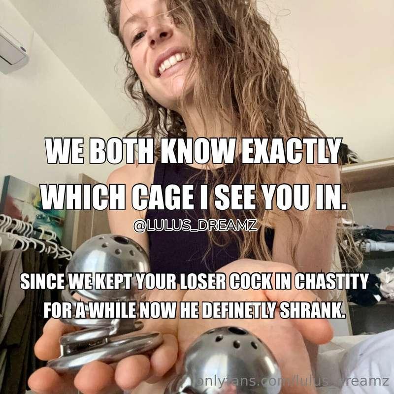 We both know exactly which cage I want you loser cock to be ..