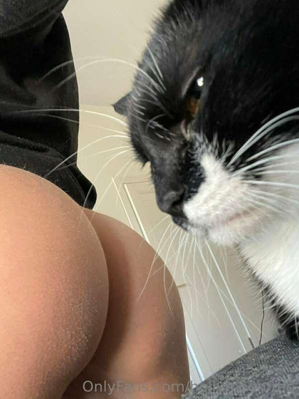 💋 This lusty kitty wants to play 😈