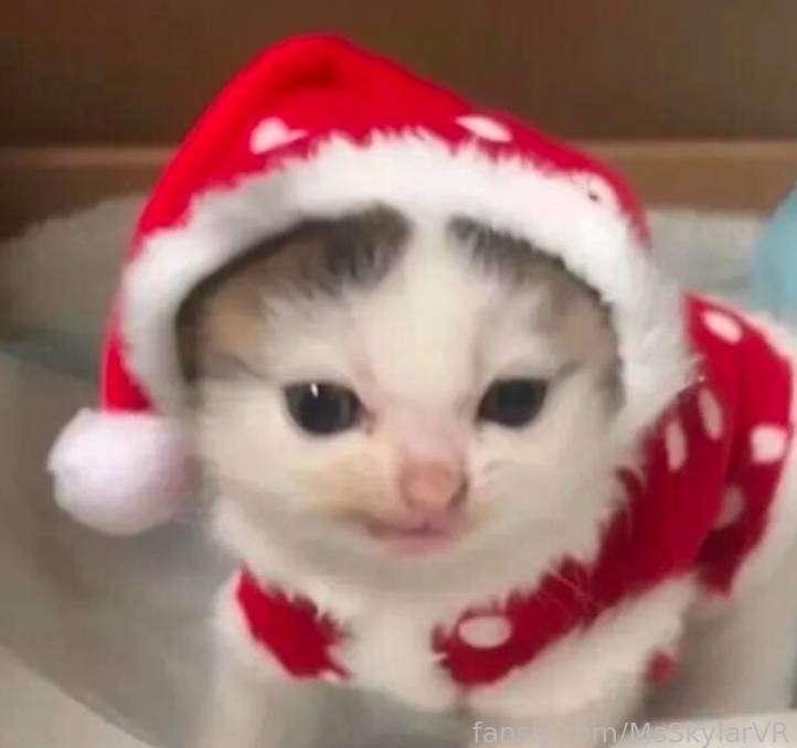 MERRY CHRISTMAS!! 🎁 
𝑆𝑡𝑟𝑒𝑎𝑚𝑖𝑛𝑔 𝑡𝑜𝑛𝑖𝑔ℎ𝑡 𝑠𝑡𝑎𝑟𝑡𝑖𝑛𝑔 𝑎𝑡 10:00/10:30𝑃𝑀 𝐸𝑆𝑇

#lewdtuber #vr 