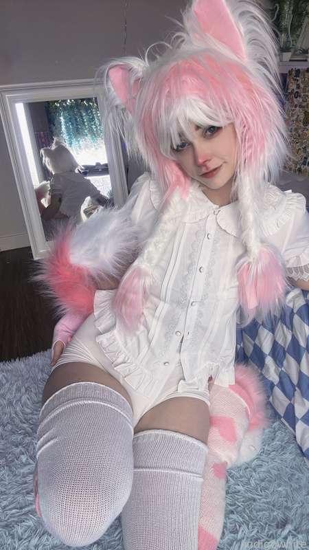 indigowhite image #125