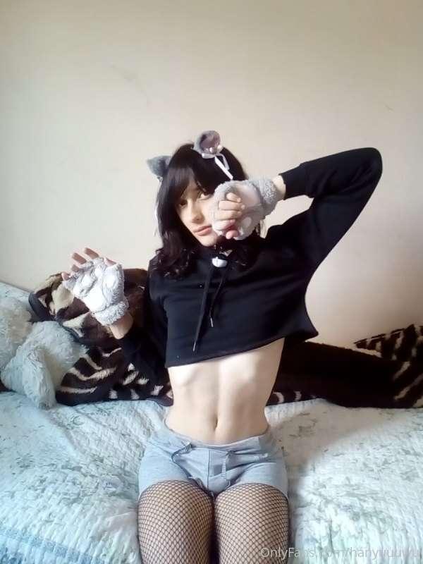 meow meow, im smal >.