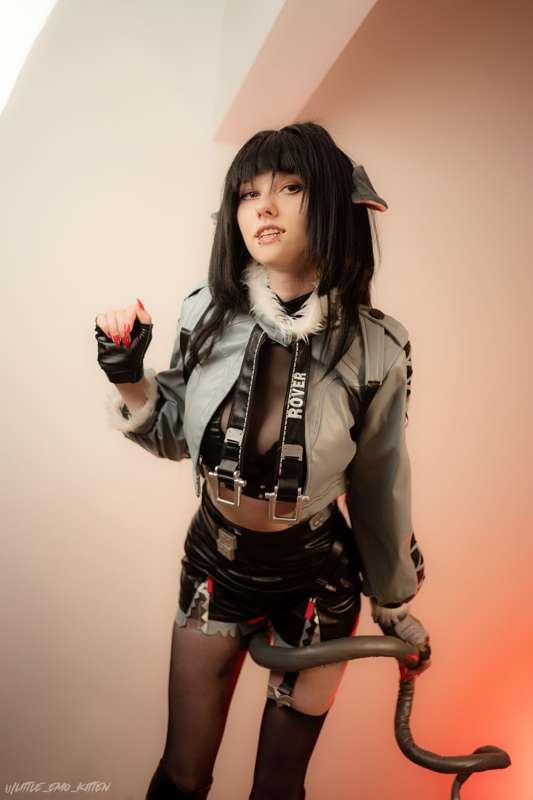 little_emo_kitten image #13
