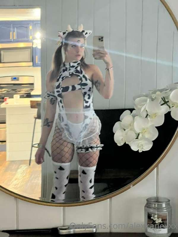 Mooooo
