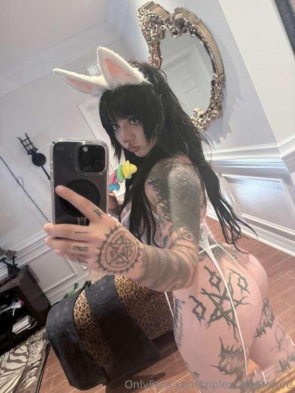 🐰