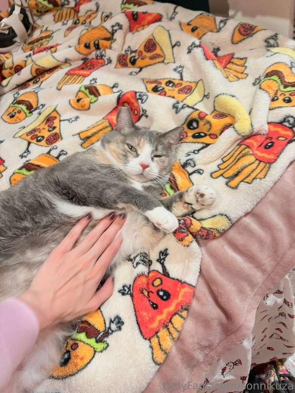 This is my kitty juniper !!! She’s four years old and yester..