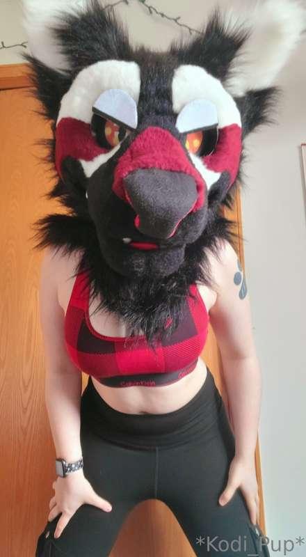 Some bra pics