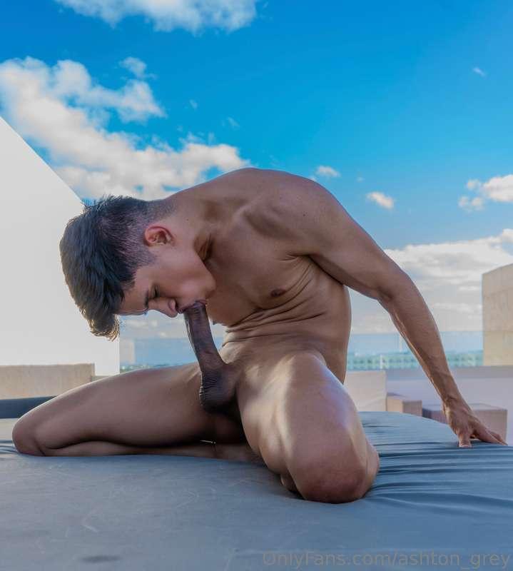 ashton_grey image #0