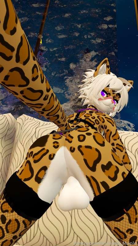 cuuuuuute kitty~