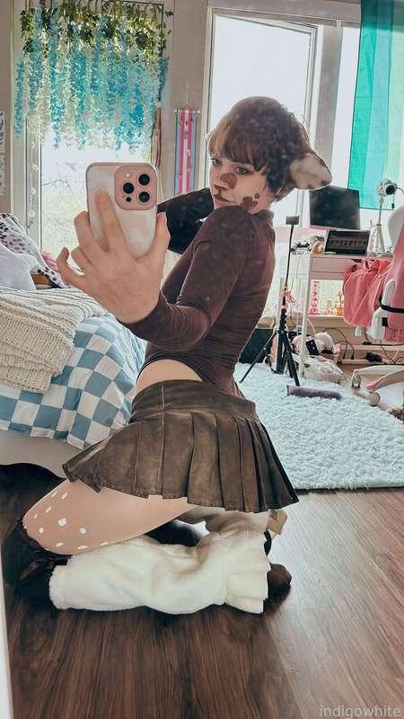 indigowhite image #27