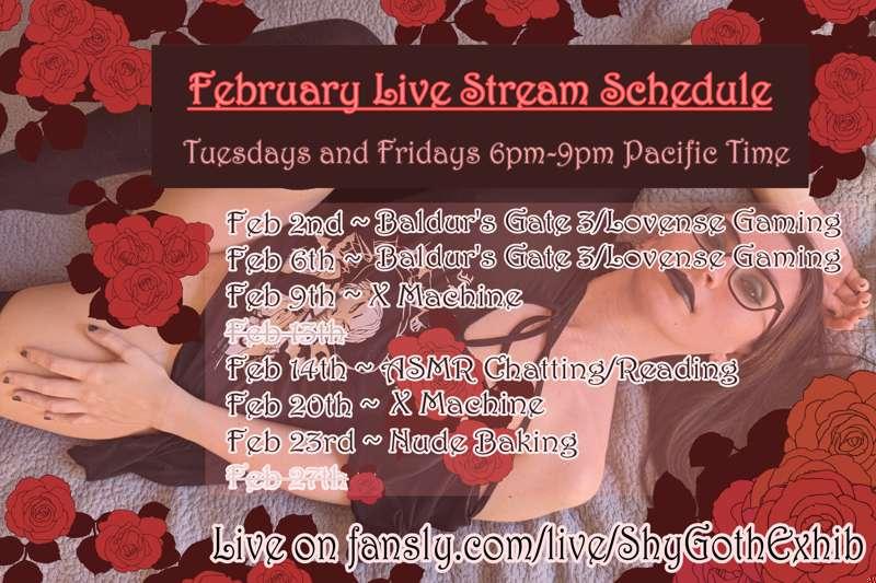 February Live Stream Schedule! 