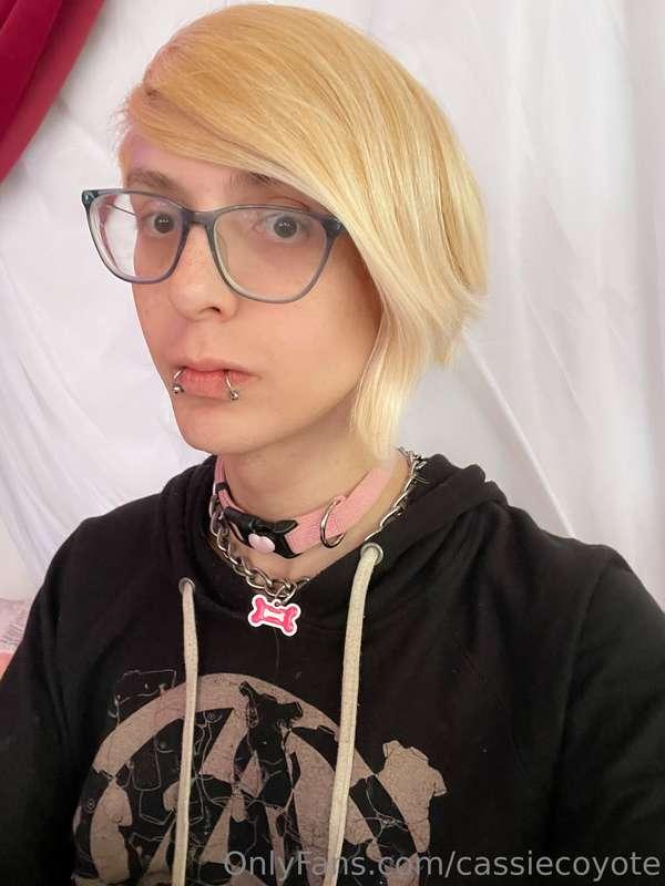 cassiecoyote image #3