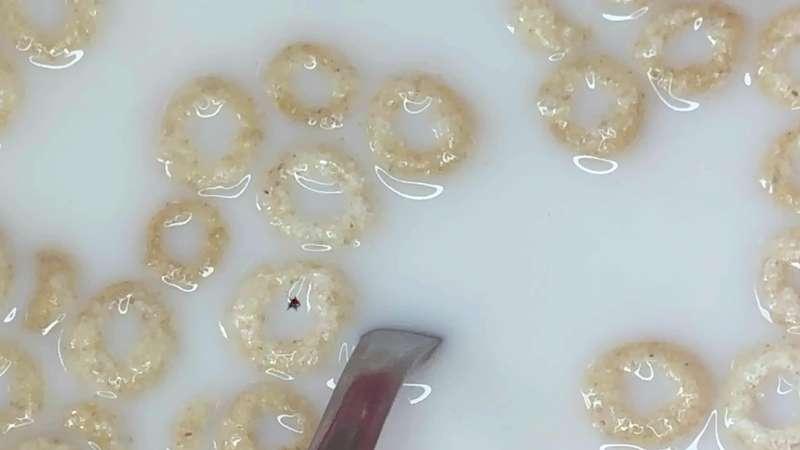Cheerios! (Test)