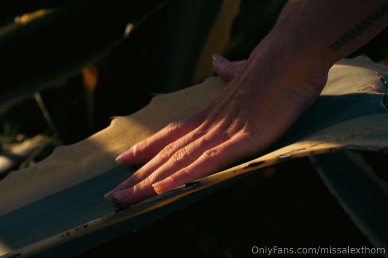 missalexthorn image #1