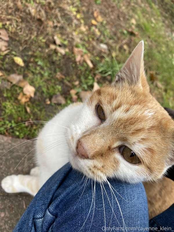 cayenne_klein_ image #4