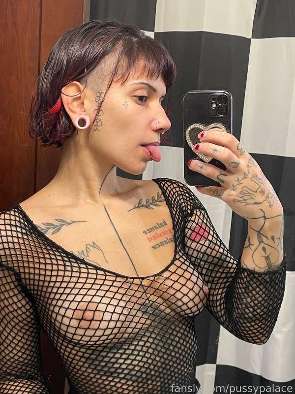 sugarisspicy image #2