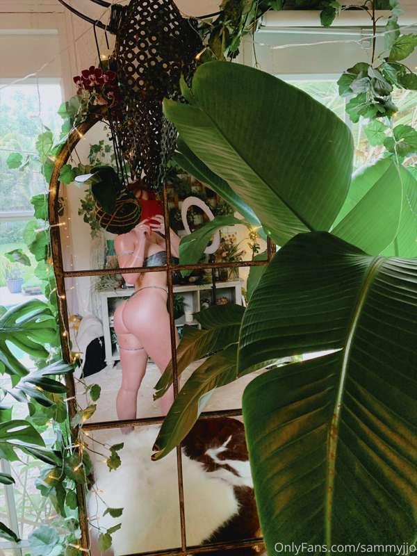 Playing in the jungle