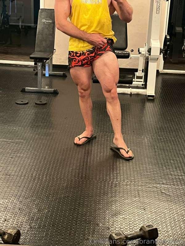 Leg