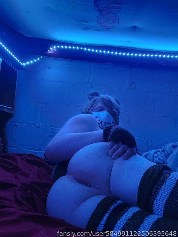 Bear bussy 