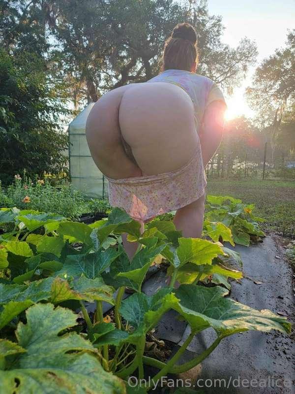 Wanna give me a hand in the garden this morning? 🌱😏 Things a..