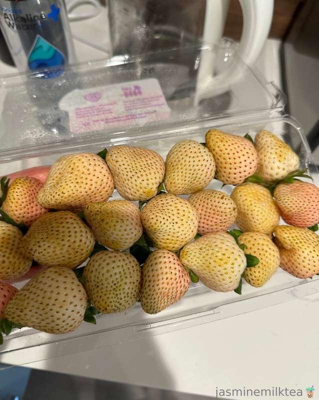 jasminemilktea image #3