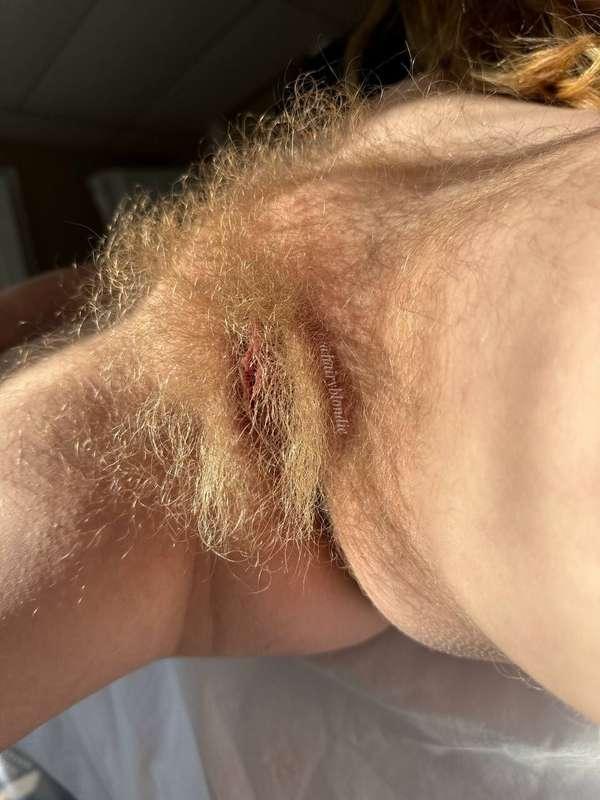 My hairy cunt in all its glory 🌷
