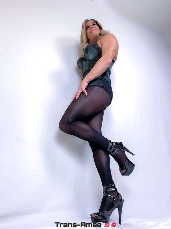 amee_trans image #2
