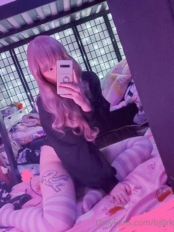 🌸🌸🌸
