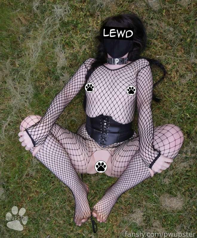 pwupster image #19