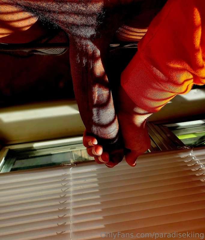 imagine you on your knees with this in your face