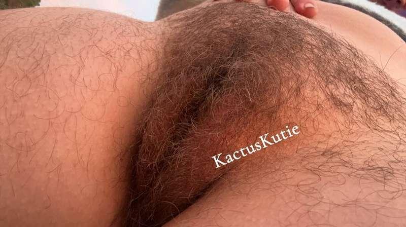 kactuskutie image #0