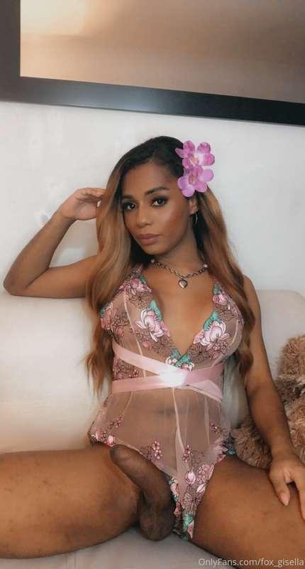 fox_gisella image #1