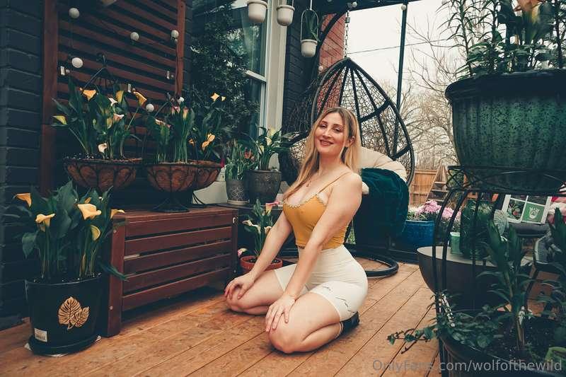 wolfofthewild image #0