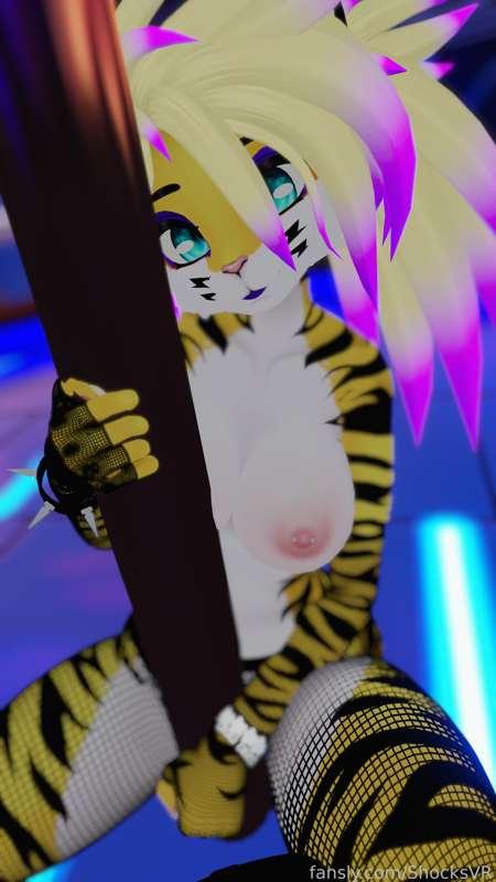 shocksvr image #5