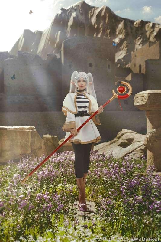 kawabarker image #3