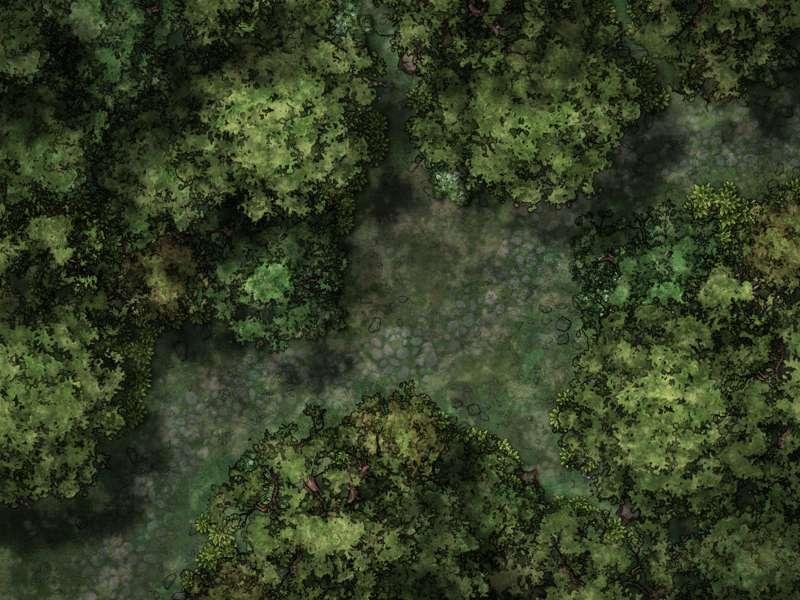 Forest Path