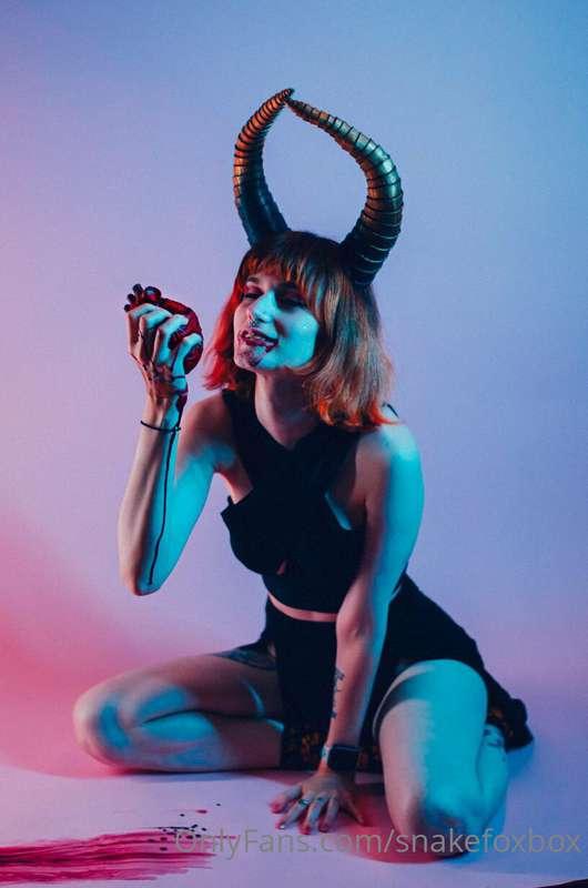 snakefoxbox image #2